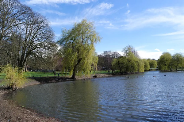 Άποψη Του Πάρκου Στην Αγγλία Ηνωμένο Βασίλειο — Φωτογραφία Αρχείου