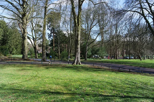 イギリスのイングランドの公園の眺め — ストック写真