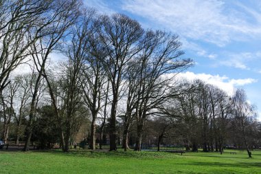 İngiltere 'nin Leagrave Luton kasabasındaki yerel halk parkı.