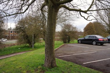 Halk parkının güzel manzarası  