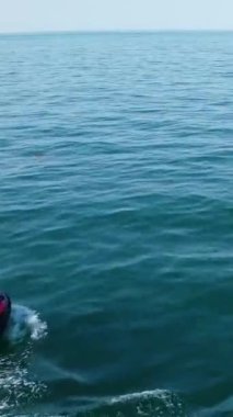Bournemouth Sahili 'ndeki Okyanus Suyu' nda İngiltere 'deki insanların hava görüntüleri dinleniyor ve yüzüyorlar.