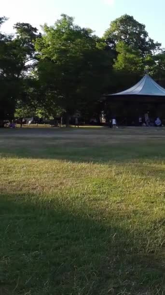 Group Women Exercising Yoga Together Public Park Sunset Hot Summer — ストック動画