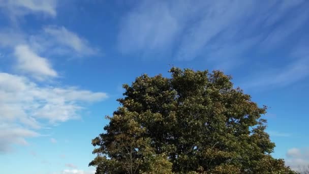 华丽而富有戏剧性的云彩在英格兰上空飘扬 — 图库视频影像