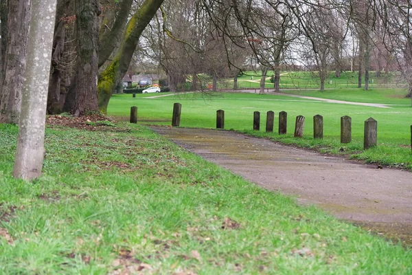 stock image Low Angle View of Trees and Branches at Local Park