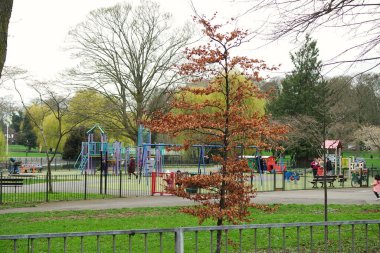 Luton yerel parkından güzel görüntüler