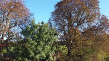 İngiltere 'nin Leagrave Londra Luton İstasyonu' nda tren. Hava ve yüksek açı görüntüleri İHA 'nın kamerasıyla çekiliyor..