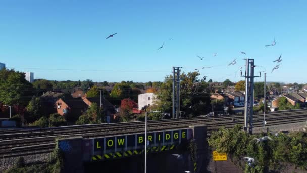 Flygande Duvor Centrala Luton Stad England — Stockvideo
