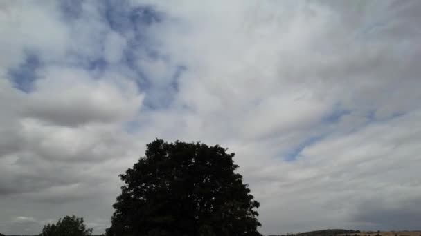 劇的な雲と空の美しい高角度映像 — ストック動画