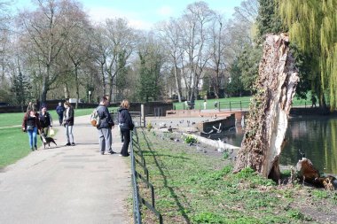 İngiltere 'nin Luton şehrinde soğuk güneşli bir günde Yerel Halk Parkı ve Çiçekli Ağaçlarının Güzel Manzarası