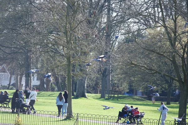 Місцевий Громадський Парк Бедфорд Сіті Англія — стокове фото