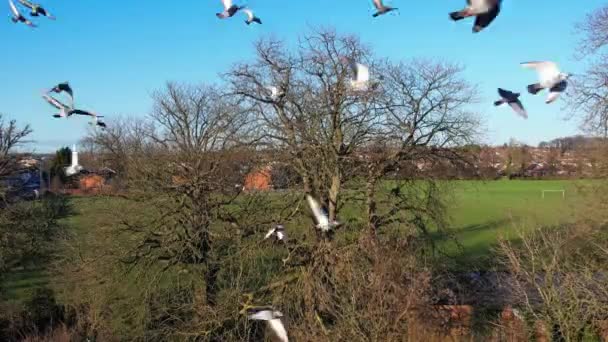 Hoge Hoek Uitzicht Woningen Het Engels Drone Camera Luchtfoto — Stockvideo