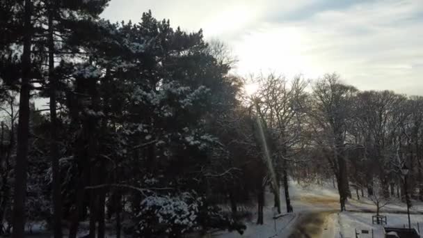 Pemandangan Udara Kota Luton Tertutup Salju — Stok Video