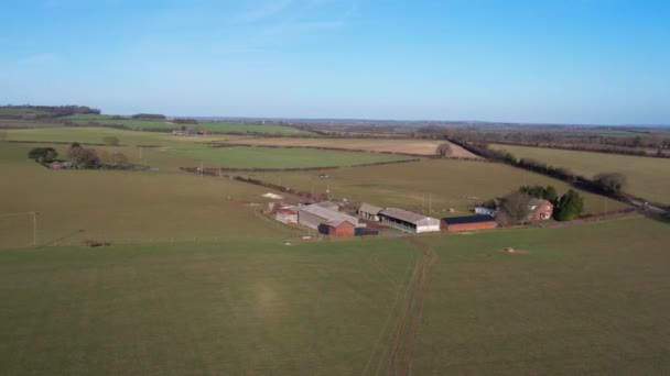 High Angle Footage British Animal Sheep Farms Bright Sunny Day — Stock Video
