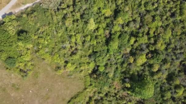 Aerial View Most Beautiful Landscape British Countryside England — стокове відео