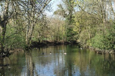 Bedford City 'nin Trees and Local Public Park' ı. Güzel güneşli bir gün