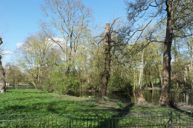 Bedford City 'nin Trees and Local Public Park' ı. Güzel güneşli bir gün