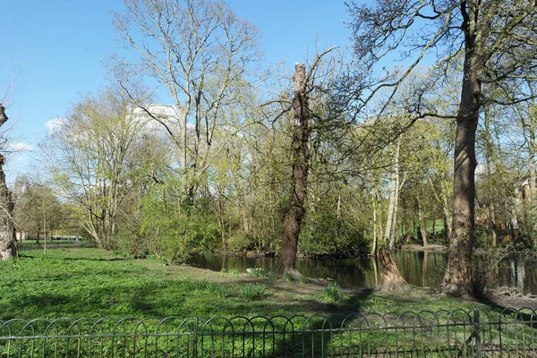 Stromy Místní Veřejný Park Bedford City England Krásný Slunečný Den — Stock fotografie