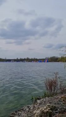 İngiltere Willen Gölü 'nde Güzel ve Sevimli Su Kuşları