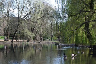  Wardown Park 'ın Güzel Manzarası, Luton, İngiltere