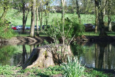  Wardown Park 'ın Güzel Manzarası, Luton, İngiltere