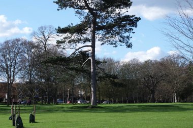  Wardown Park 'ın Güzel Manzarası, Luton, İngiltere