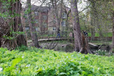  Wardown Park 'ın Güzel Manzarası, Luton, İngiltere