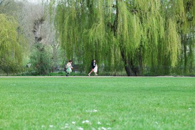 Wardown Park 'ın Güzel Manzarası, Luton, İngiltere