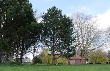  Wardown Park 'ın Güzel Manzarası, Luton, İngiltere