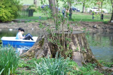  Wardown Park 'ın Güzel Manzarası, Luton, İngiltere