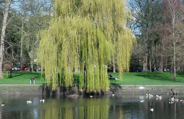 Krásný Výhled Wardown Park Luton Anglie — Stock fotografie
