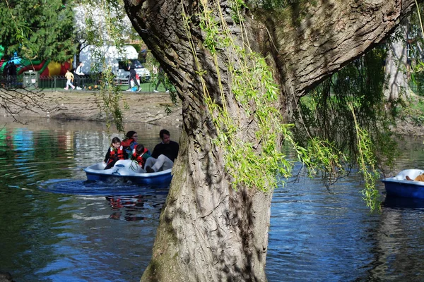  Wardown Park 'ın Güzel Manzarası, Luton, İngiltere