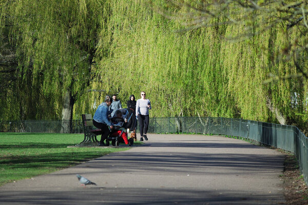  Мбаппе Вид на парк Уордаун, Лутон, Англия