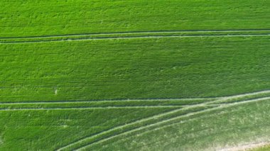 İngiliz Kırsal Bölgesinin Yüksek Açılı Görüntüleri Sharpenhoe Alkışlayıcıları Bedfordshire İngiltere, Tepelerin Turistik Noktası ve İngiliz Çiftlikleri
