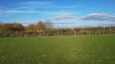 İngiliz Kırsal Bölgesinin Yüksek Açılı Görüntüleri Sharpenhoe Alkışlayıcıları Bedfordshire İngiltere, Tepelerin Turistik Noktası ve İngiliz Çiftlikleri