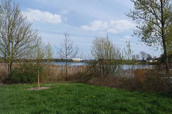 Vista Baixo Ângulo Willen Lake Park Com Público Local Turístico — Fotografia de Stock