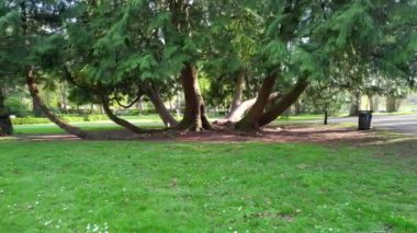 İngiliz Savaş Parkı 'nın havadan görüntüsü. 16-Nisan-2023 tarihlerinde, kısmen bulutlu bir günde, İngiltere 'nin Luton şehrinde Drone' un Kamerası ile görüntüler çekildi.