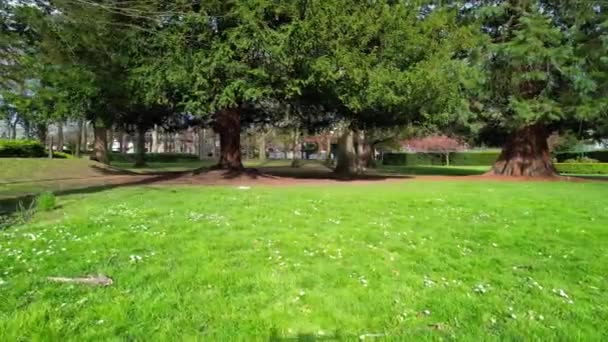 Luftudsigt British Wardown Public Park Optagelser Blev Optaget Med Drone – Stock-video