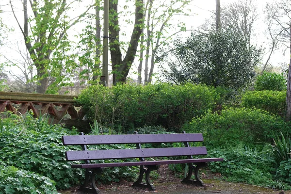 Prachtig Uitzicht Kleurrijke Lente Flora Local Public Park Van Luton — Stockfoto