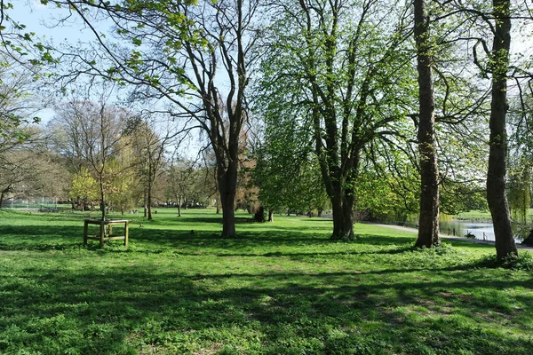 Schöne Ansicht Der Bunten Frühlingsflora Lokalen Öffentlichen Park Von Luton — Stockfoto