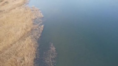 İngiltere 'nin Bedford İngiliz Kırsal Bölgesi' nde Stewartby Gölü 'nün görüntüleri