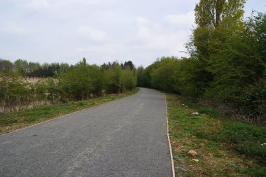 Bedford Park 'ta Yol ve Ağaçlar, İngiltere