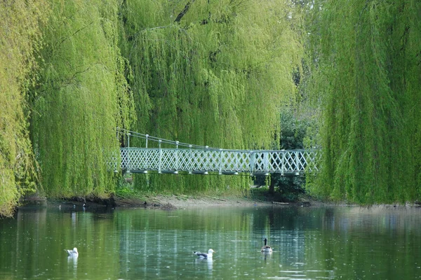 Wardown Park Luton Anglia Wielka Brytania Kwietnia 2023 Wardown Park — Zdjęcie stockowe