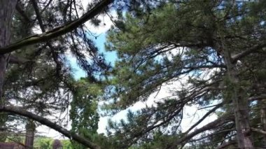 Luton City, İngiltere - 1 Mayıs 2023: Güneşli bir günde Luton City 'deki Wardown Park' ın Hava Görüntüsü 