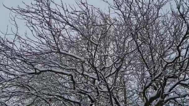 Красивий Вид Місто Шлях Після Снігопаду Перший Снігопад Над Англією — стокове відео