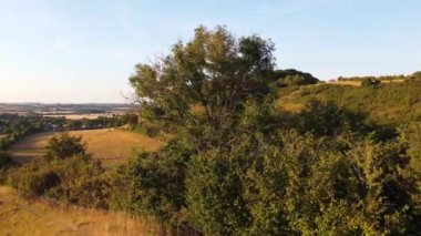 İngiltere, Birleşik Krallık - 6 Ağustos 2022: Çiftlikte Koyun ve Kuzular