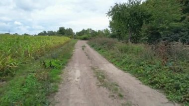 İngiltere, Birleşik Krallık - 20 Eylül 2022: İngiliz Kırsal Arazisi