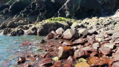  Plaj ve Okyanus, video.