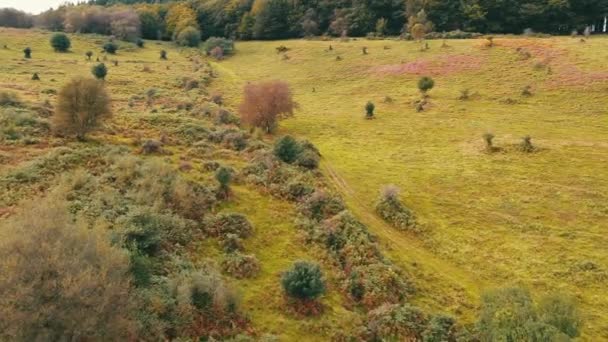 Crowcombe Taunton Village Ngiltere Mart 2023 Kırsal Tarım Çiftlikleri Makine — Stok video