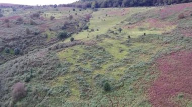 Crowcombe Taunton Village, İngiltere - 14 Mart 2023: Kırsal Tarım Çiftlikleri ve Makine İşleri 