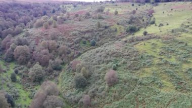 Crowcombe Taunton Village, İngiltere - 14 Mart 2023: Kırsal Tarım Çiftlikleri ve Makine İşleri 